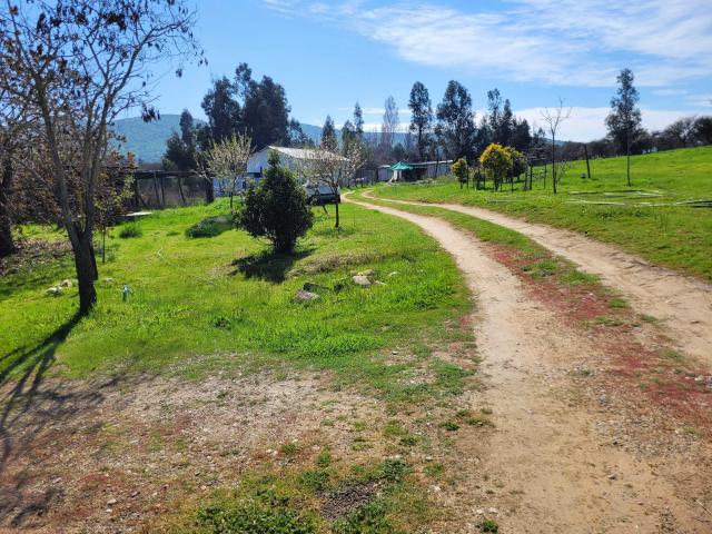 en SAN PEDRO