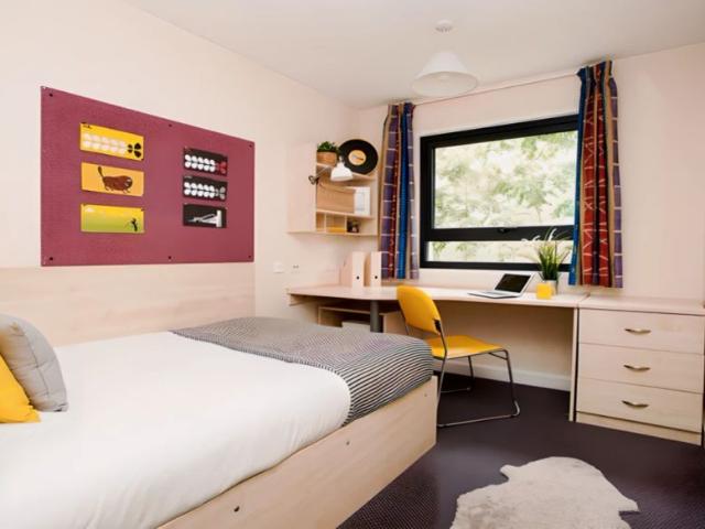 Room for rent in South Tottenham, Greater London