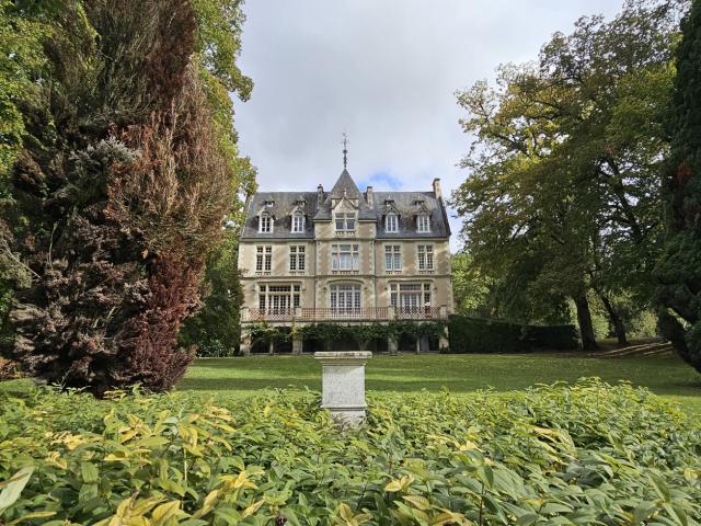 Château vente à Chinon