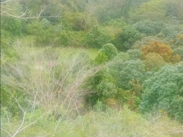 Terreno en venta en Vargas