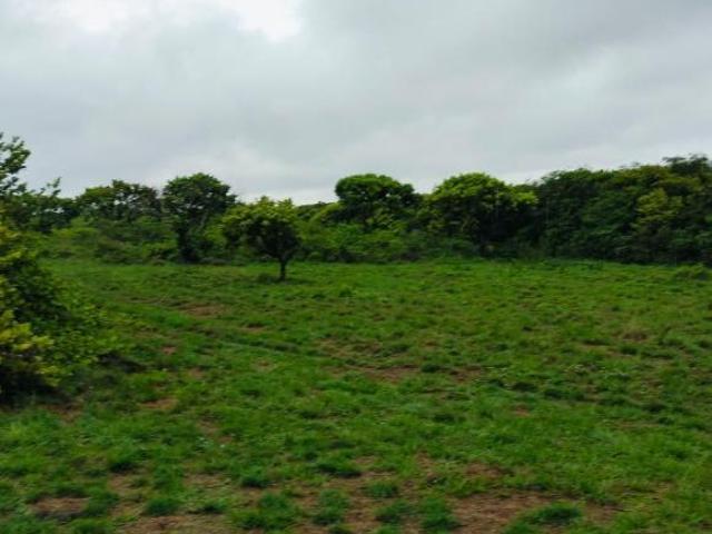 Rancho en venta en Alvarado, Veracruz