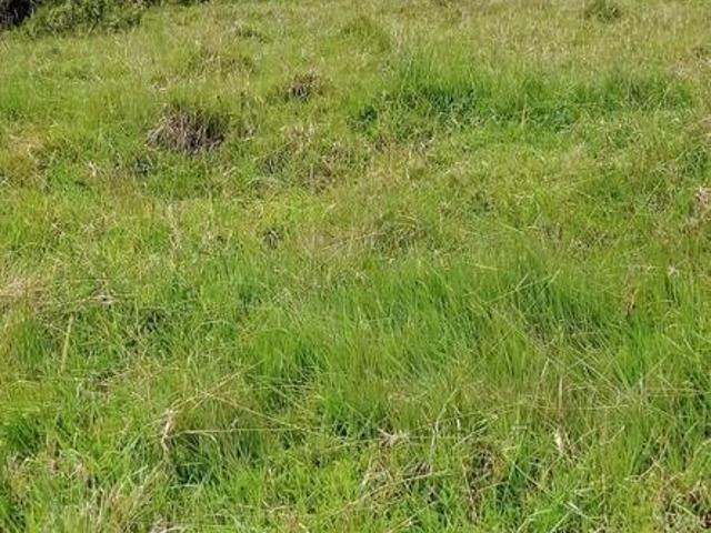 Terreno venta en Huancabamba, Pasco