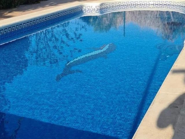 Chalet en venta en Entremontes-Nieves, Guillena