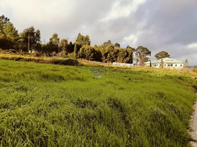 Casa en venta en O Portal, Vigo
