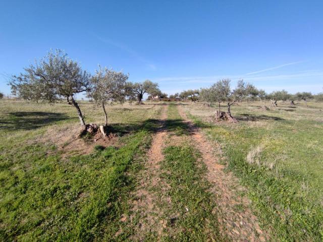 Terreno en venta en Coria, Extremadura
