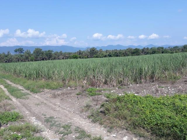 Terreno en venta en Ciudad Valles, San Luis Potosí