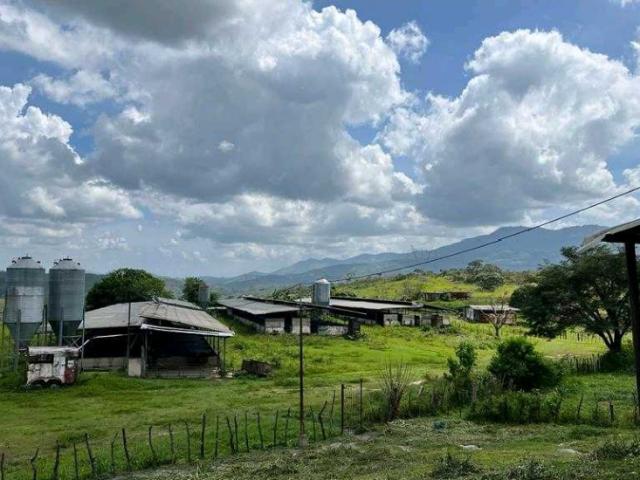 Finca en venta en Carabobo