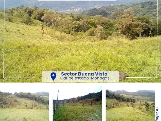 Finca en venta en Caripe, Monagas