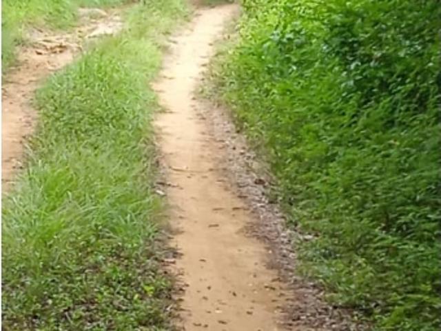 Finca en venta en Monseñor Iturriza, Falcón