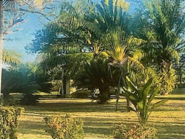 Finca en venta en Pao De San Juan Bautista, Cojedes