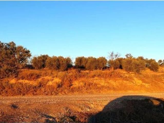 Local Comercial en venta en Garrigues, Catalunya