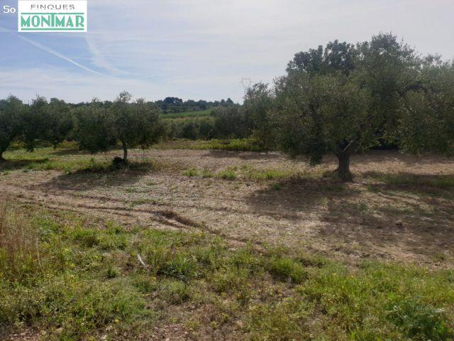 Local Comercial en venta en Tarragonès, Catalunya