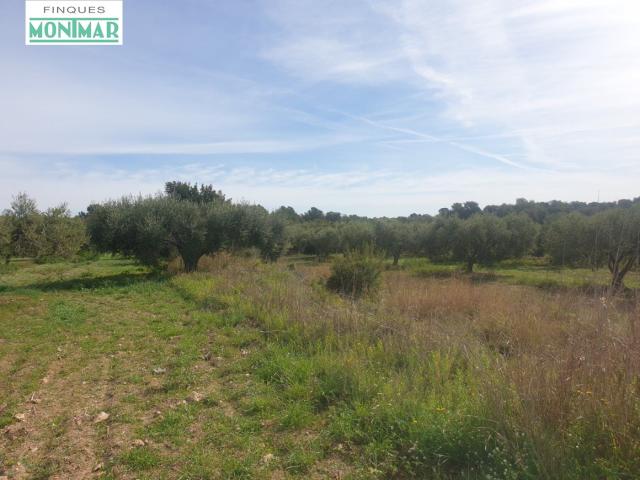 Chalet en venta en Tarragonès, Catalunya