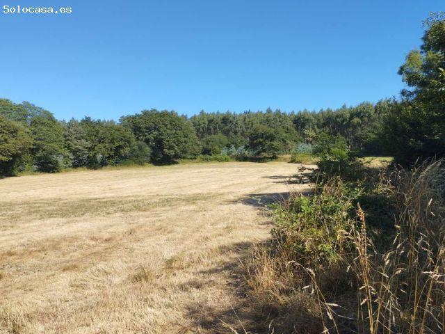 Local Comercial en venta en Terra Chá, Galicia