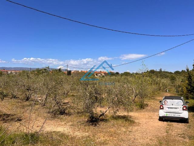 Terreno en venta en Baix Camp, Catalunya