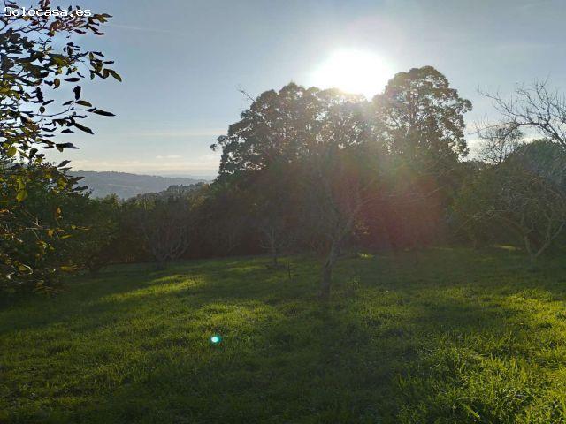 Local Comercial en venta en O Eume, Galicia
