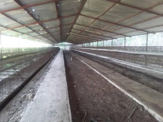 Finca en venta en Infante, Guárico