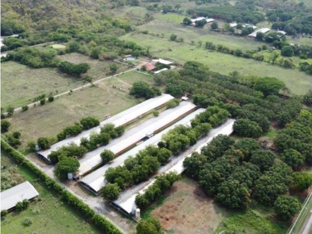 Finca en venta en Valencia