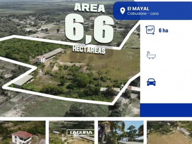 Finca en venta en Palavecino, Lara
