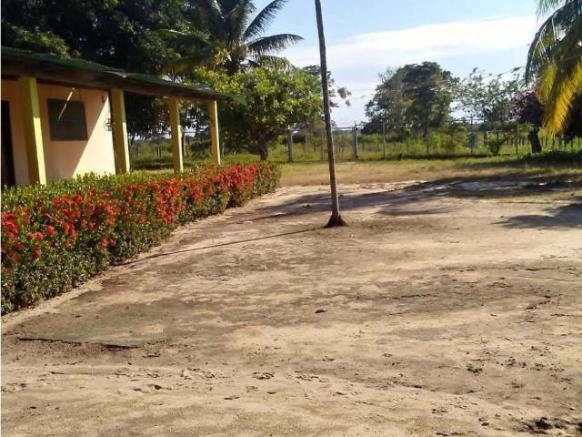 Terreno en venta en Guanapa, Barinas