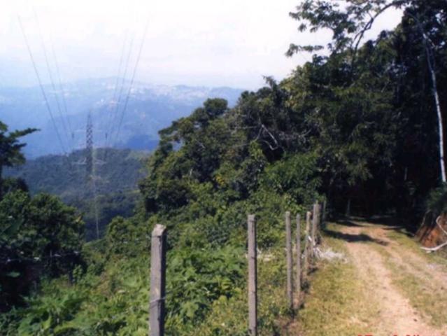 Terreno en venta en Miranda, Carabobo