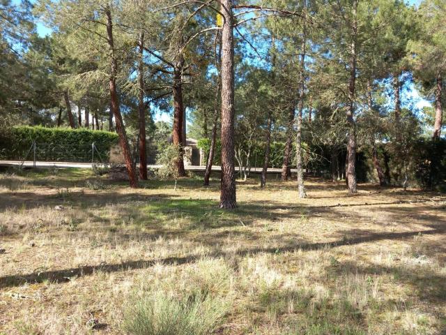 Casa en venta en Urbanización Pinar de Párraces, Marugán