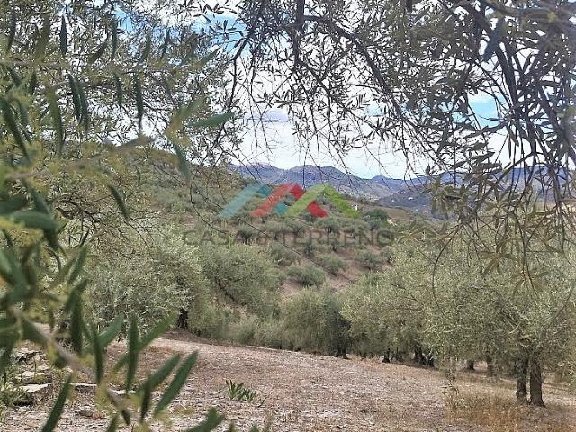 Terreno en venta en Málaga