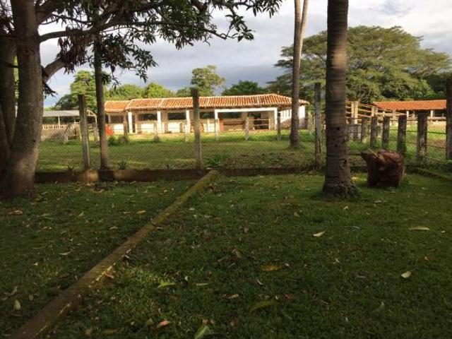 En Venta Rancho Agrícola y Ganadero de 62 htas en Villaflores, Chiapas