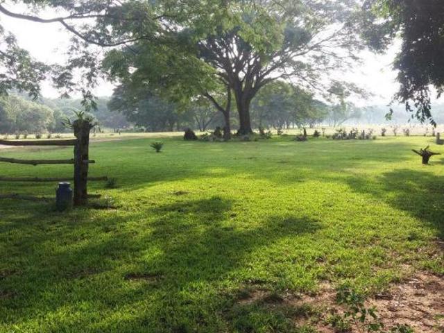 En Venta Rancho Agrícola y Ganadero de 62 htas en Villaflores, Chiapas