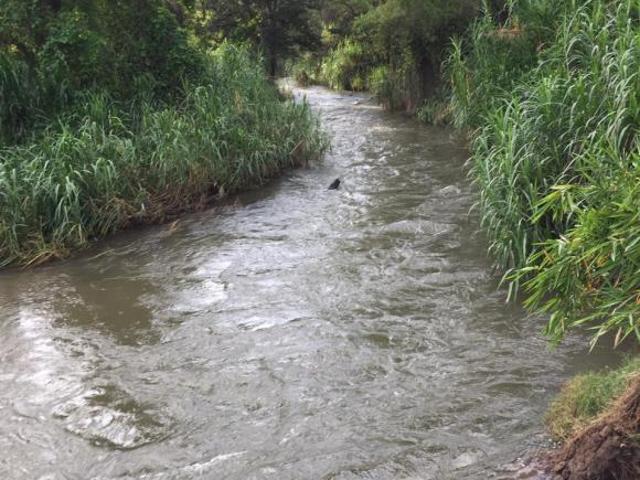 En Venta Rancho Agrícola y Ganadero de 62 htas en Villaflores, Chiapas