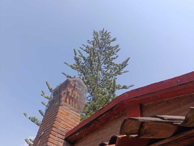 Rancho en venta en Tepetlixpa, Estado de México