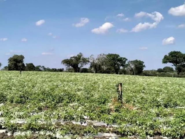 Rancho en venta en Tlalixcoyan, Veracruz