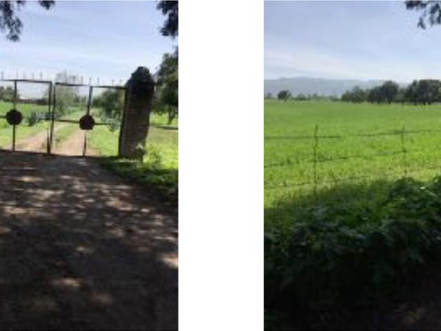 Rancho en venta en Celaya, Guanajuato
