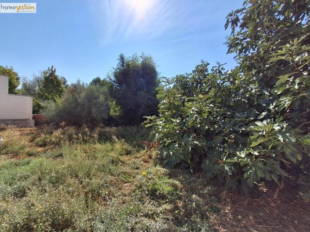 Terreno en venta en Tudela De Duero, Castilla y León