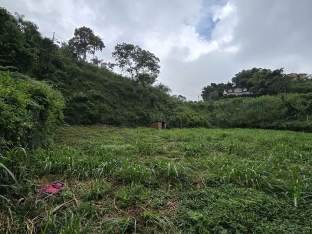 Terreno en venta en Potrerito, San Antonio de Los Altos