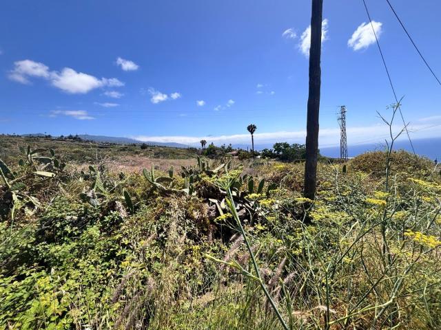 Terreno en venta en Tagoro, Tacoronte