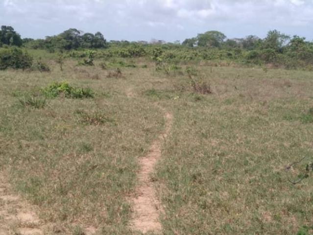 Finca en venta en Monseñor Iturriza, Falcón