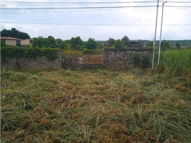 Terreno en venta en Barinas