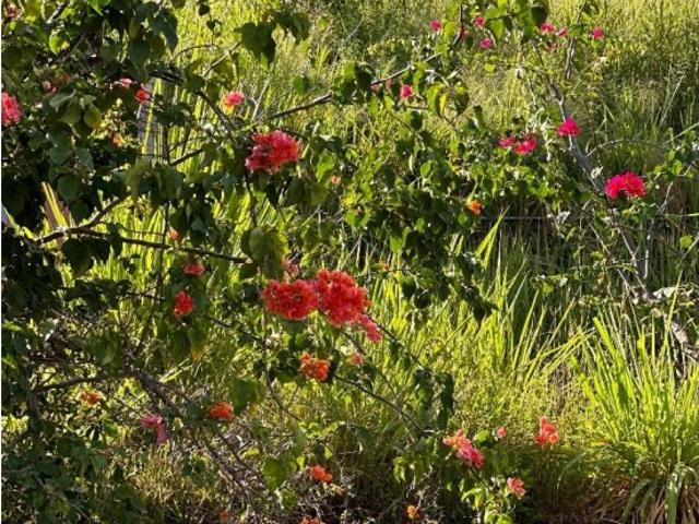 Terreno en venta en Valencia, Carabobo