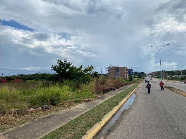 Terreno en venta en Los Pijiguaos, Bolívar