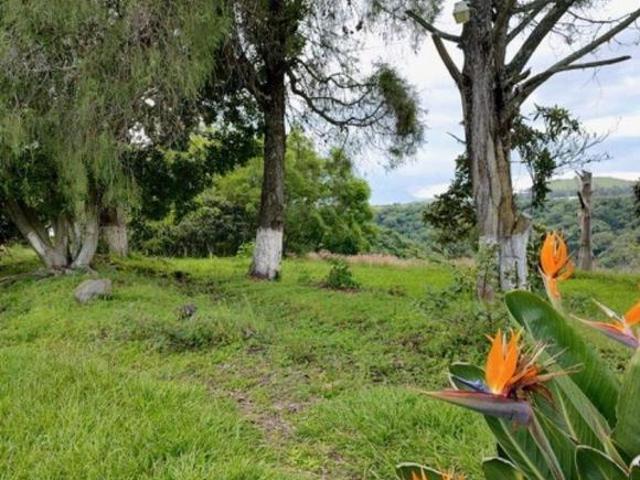 Terreno en venta en Villa Guerrero, Estado de México