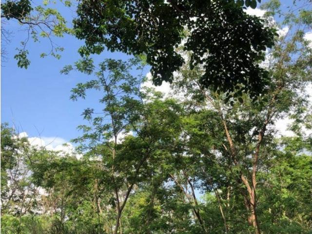 Terreno en venta en Valencia, Táchira