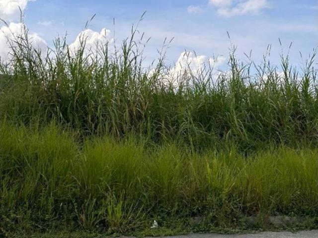 Terreno en venta en Valencia, Carabobo