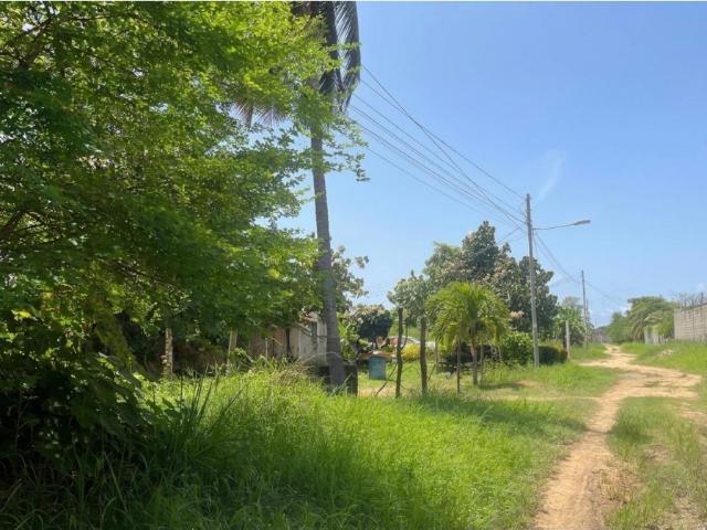 Terreno en venta en Silva, Falcón