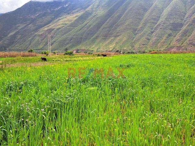 Terreno venta en Yucay, Urubamba