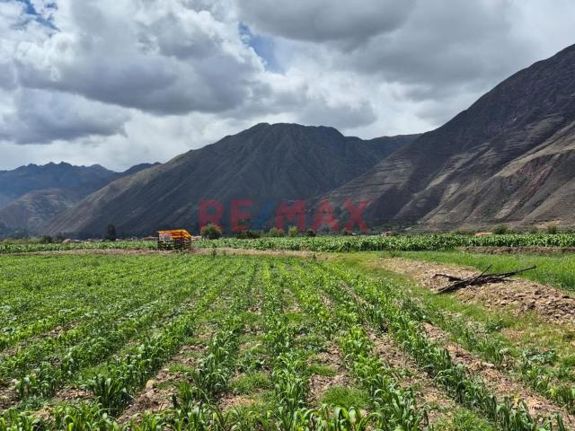Terreno venta en Paca Waunaqolqa, Huayllabamba