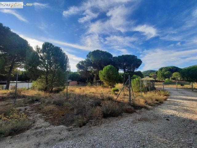 Local Comercial en venta en La Parrilla, Valladolid