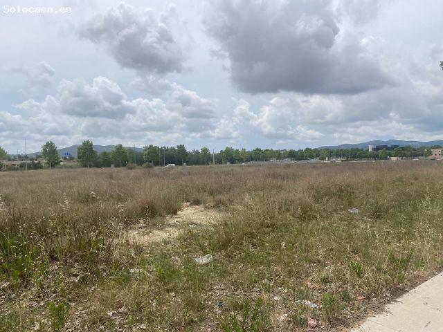 Local Comercial en venta en Sant Pere Molanta, Alt Penedès