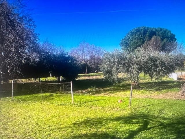 Casa en venta en Valdetorres De Jarama