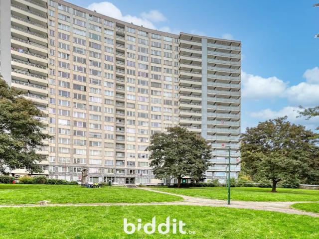 Kot vente à Herstal, Wallonie